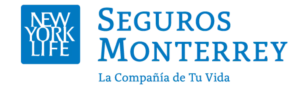 logosmnyl_1.webp